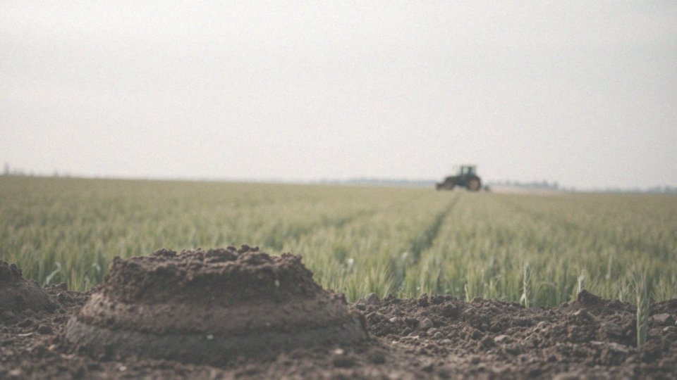 Co wpływa na koszt badań gleby w województwie mazowieckim?